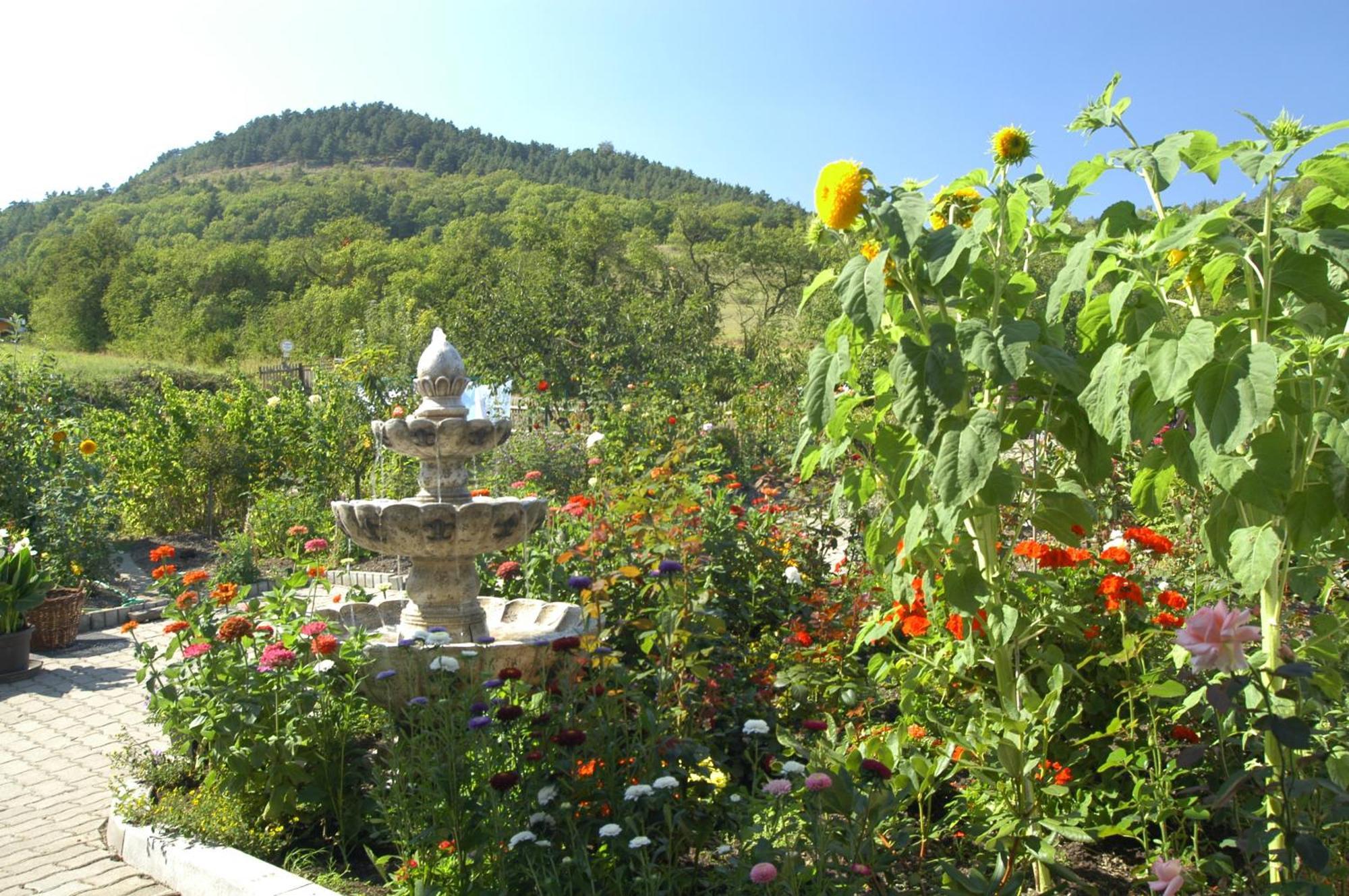 Hotel Haus Orchideental 예나 외부 사진